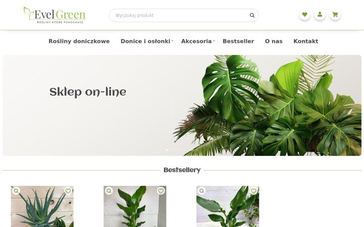Screenshot di evelgreen.pl