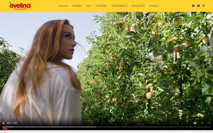 Screenshot of evelina-lapomme.fr