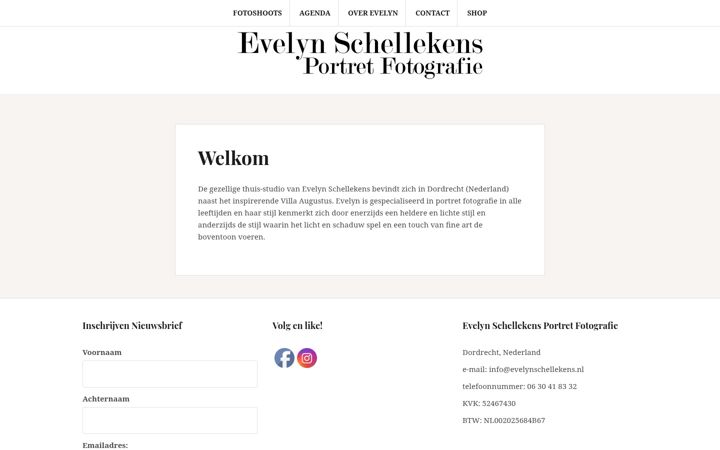 Screenshot stránky evelynschellekens.nl