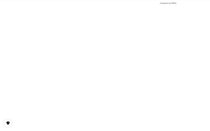 Screenshot of events-xpeng.nl