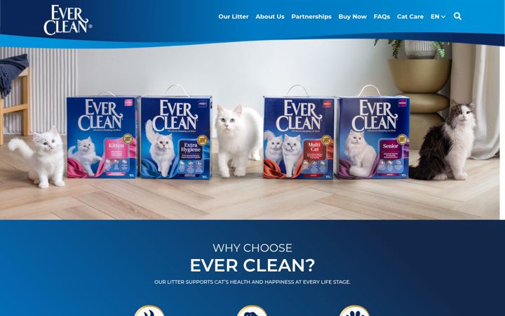 Screenshot of ever-clean.co.uk
