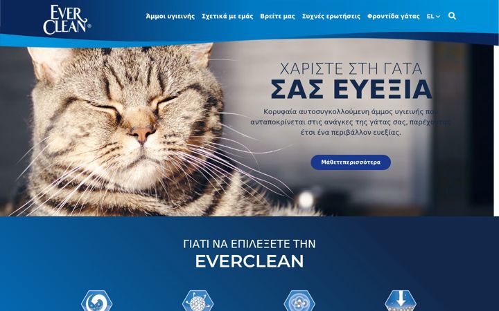 Screenshot ta' ever-clean.gr