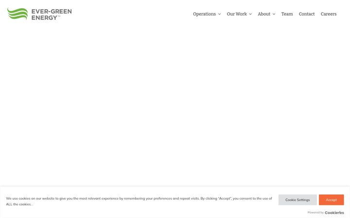 Screenshot of ever-greenenergy.com