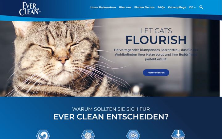 Screenshot ta' everclean.ch