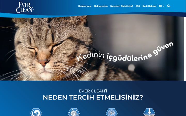 Screenshot of everclean.com.tr