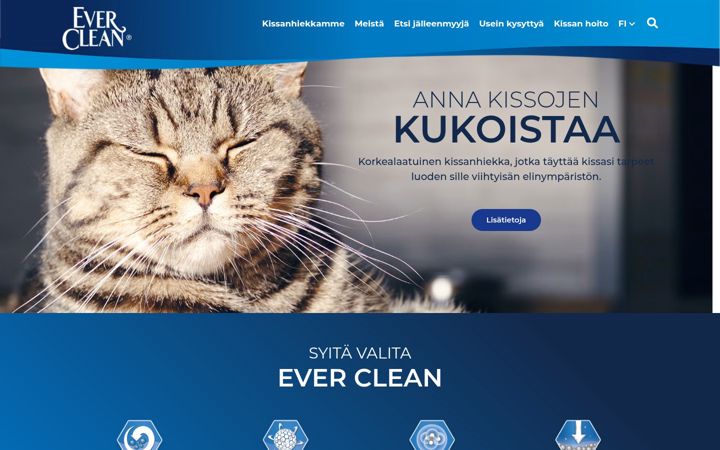 Screenshot di everclean.fi