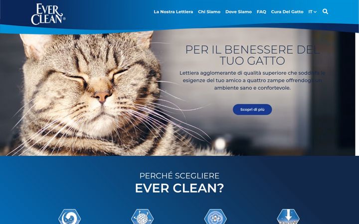 Screenshot of everclean.it
