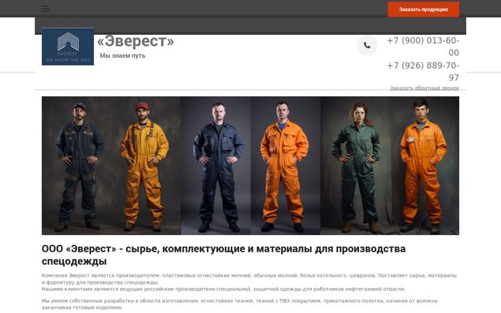 Screenshot of everest-moscow.ru
