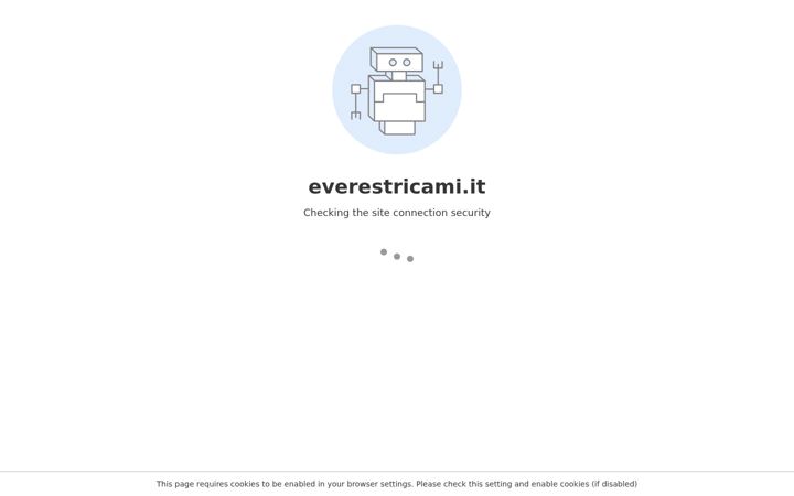 Screenshot of everestricami.it
