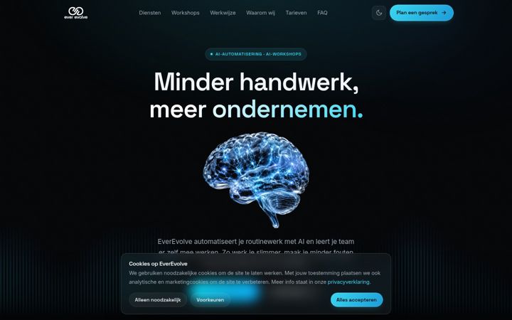 Screenshot of everevolve.nl