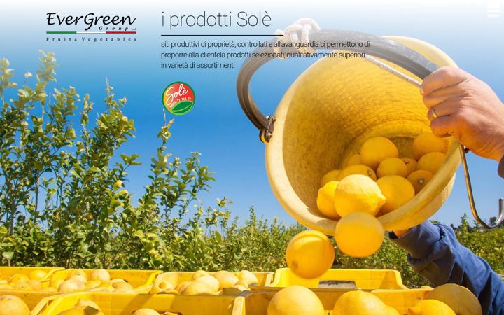 Screenshot of evergreengroup.it