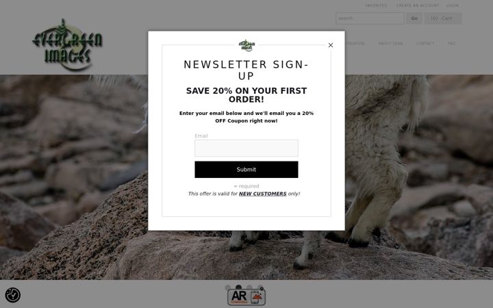 Screenshot of evergreenimages.com