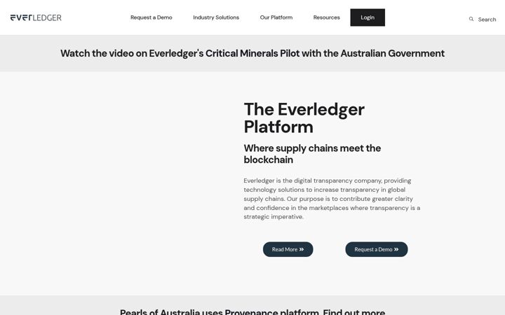 Zrzut ekranu everledger.io