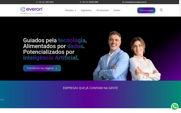 Screenshot di everondata.com.br