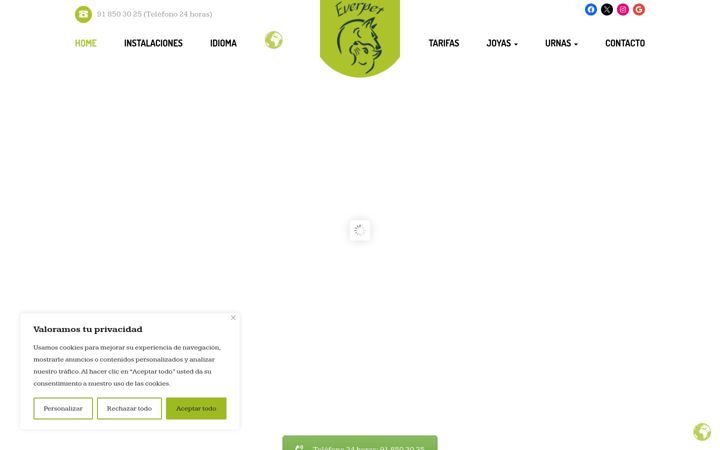 Screenshot of everpet.es