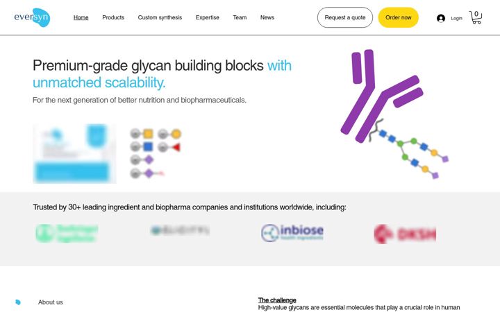 Screenshot of eversyn.de