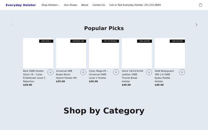 Screenshot of everydayholster.com