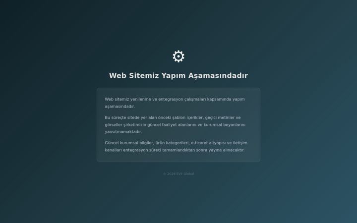 Screenshot of evfglobal.com