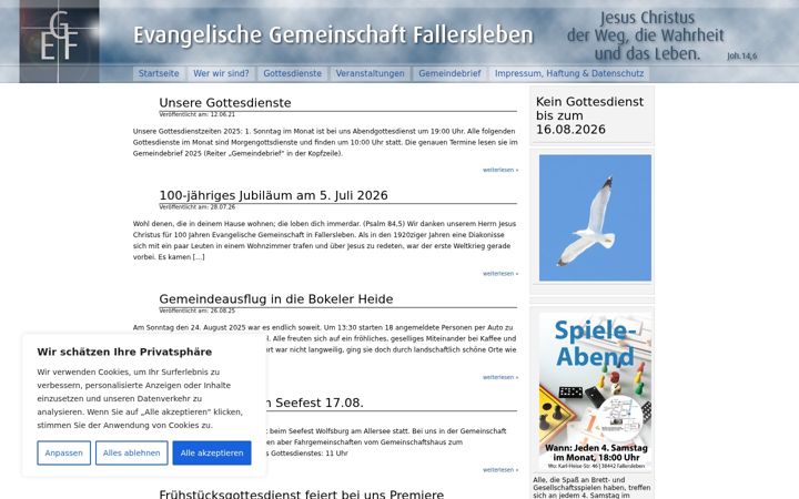 Screenshot of evg-fallersleben.de
