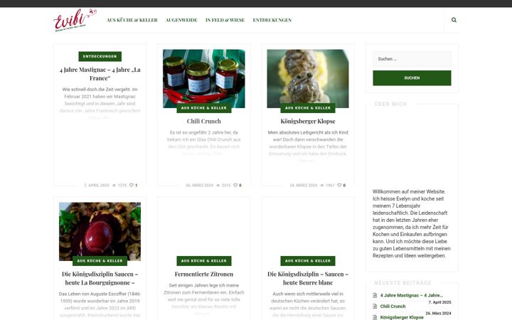 Screenshot of evibi.de