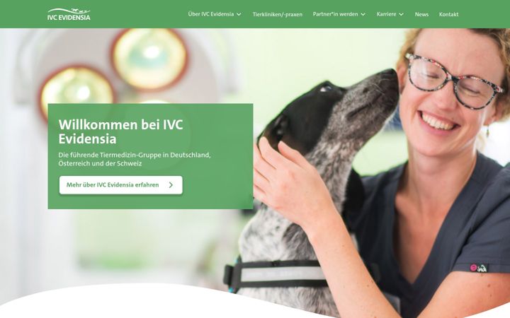 Screenshot of evidensiagroup.de