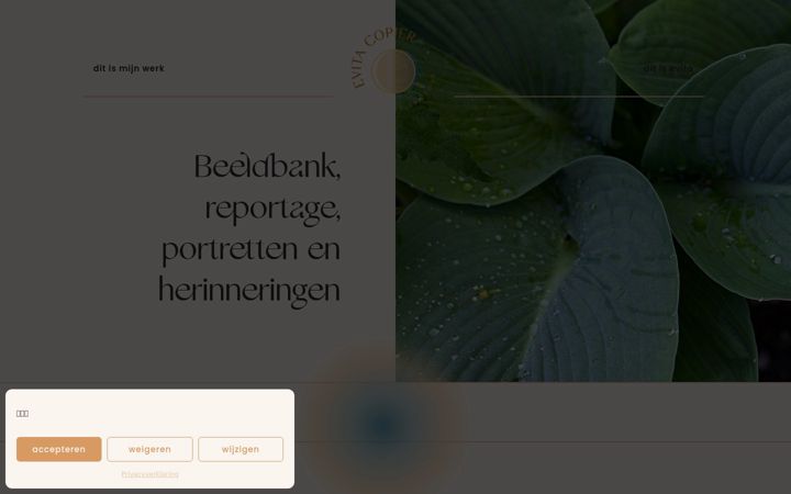 Screenshot of evitacopier.com