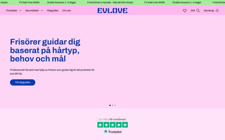 Screenshot of evlove.se