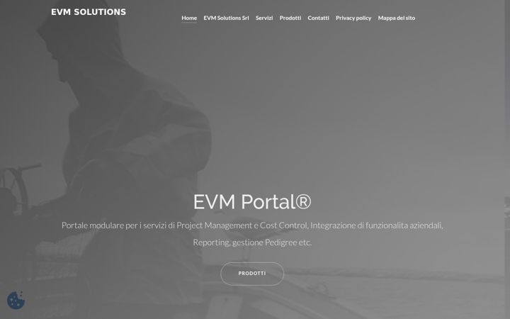 Screenshot of evmsolutions.it