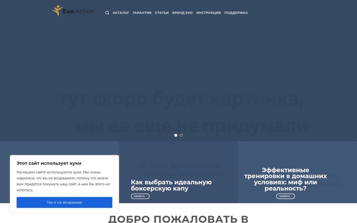 Screenshot of evo-action.ru