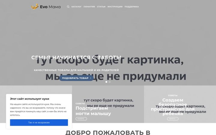 Screenshot of evo-mama.ru