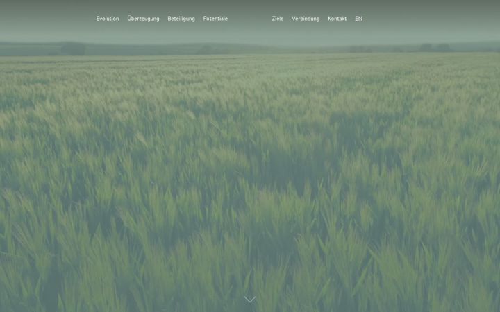 Screenshot of evo4food.com