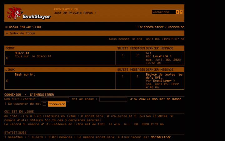 Screenshot ta' evokslayer.ch