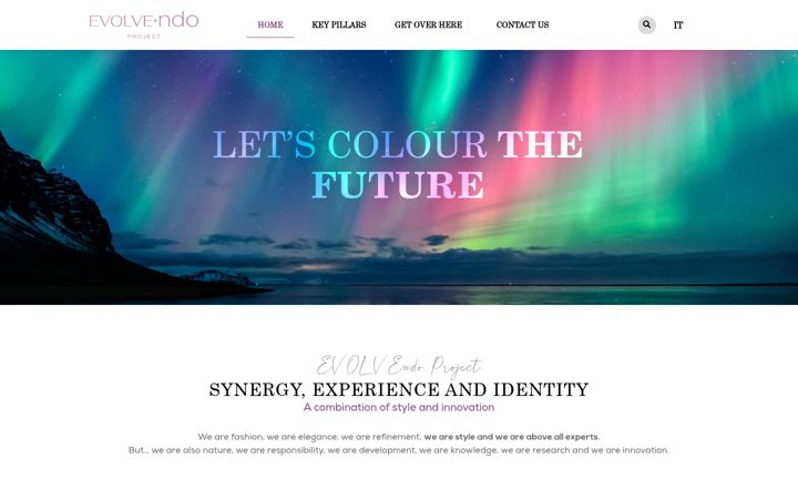 Screenshot of evolve-ndo.com