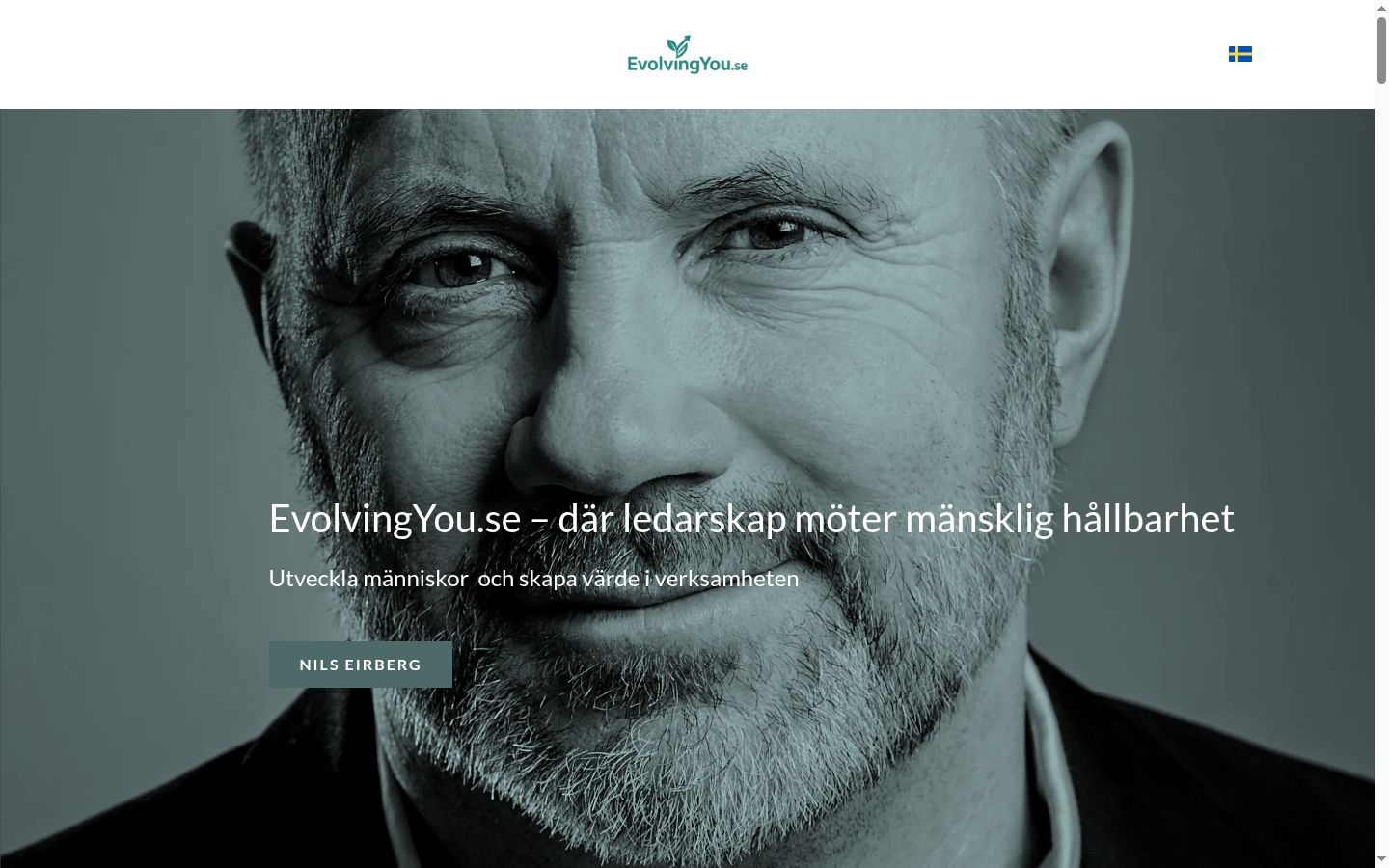Skærmbillede af samtykkebanneret, som det blev vist før nogen interaktion