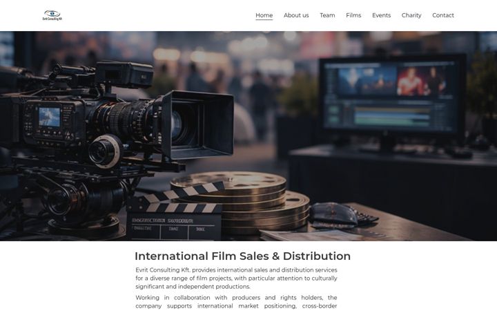 Screenshot of evritconsulting.com