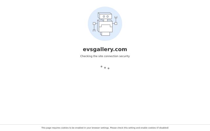 Screenshot of evsgallery.com