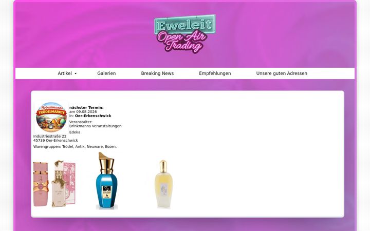 Screenshot of eweleit.eu