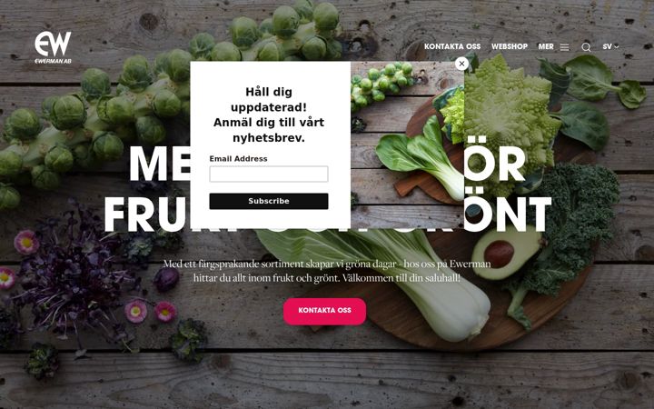 Screenshot of ewerman.se