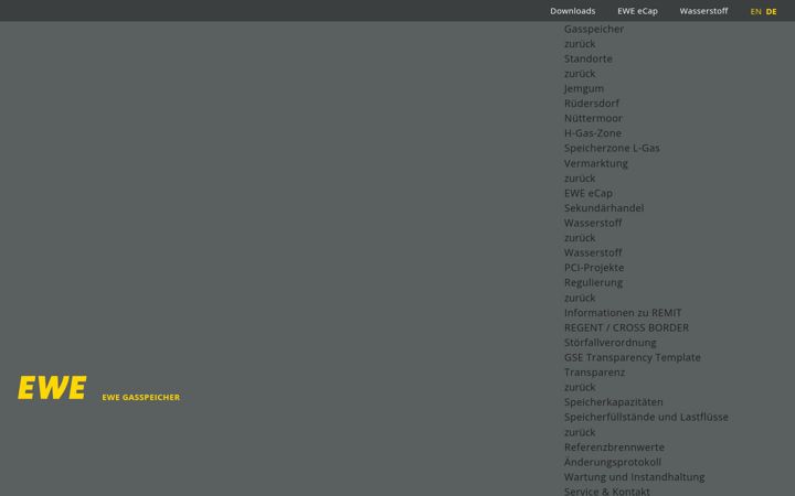 Screenshot του ewestorage.de