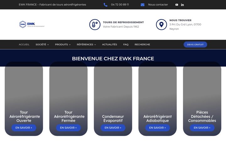 Screenshot of ewkfrance.com