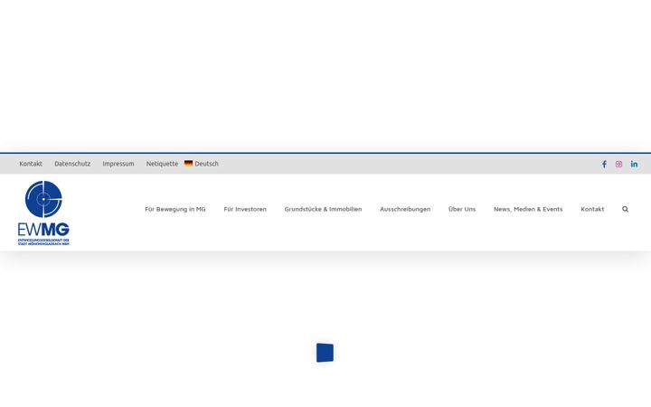 Screenshot of ewmg.de