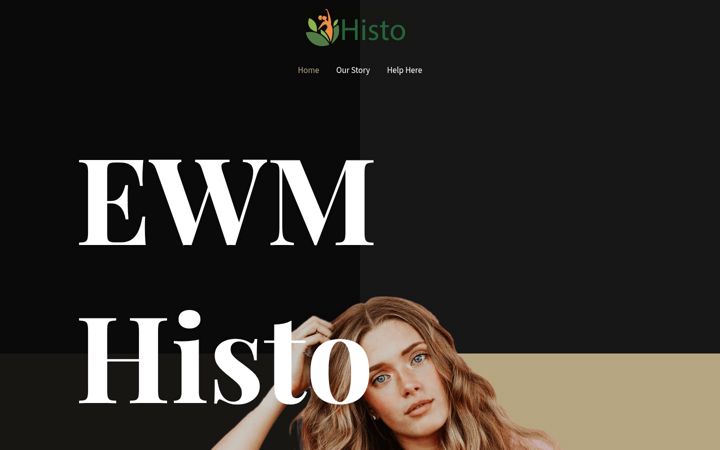 Screenshot of ewmhisto.com