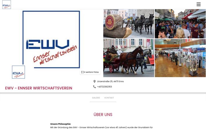Screenshot of ewv-enns.at