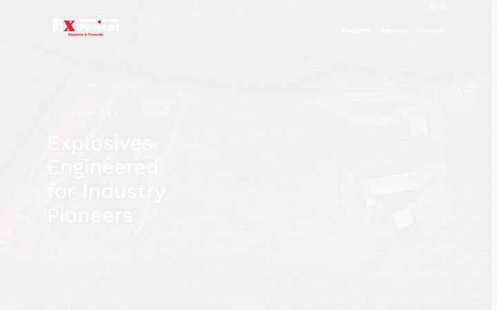 Screenshot of ex-projekt.com