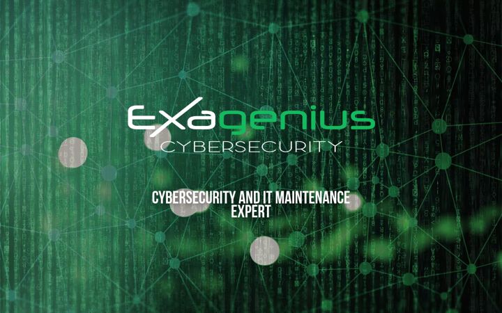 Screenshot of exagenius.com