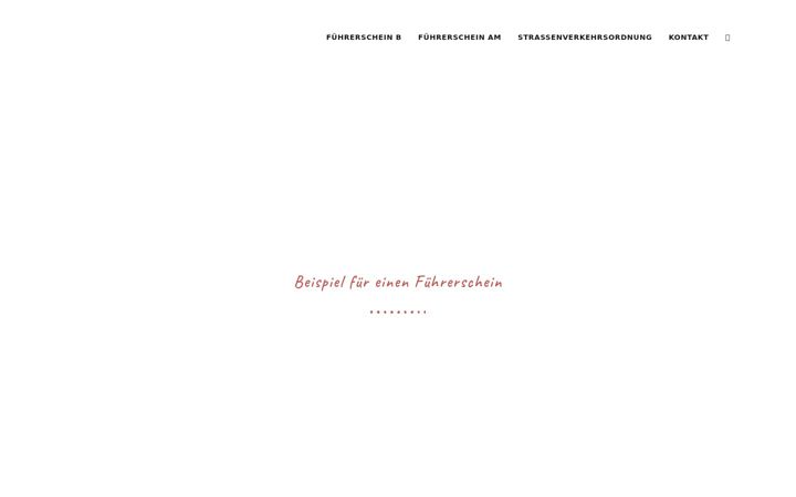 Screenshot of exakt-fahrschule.com