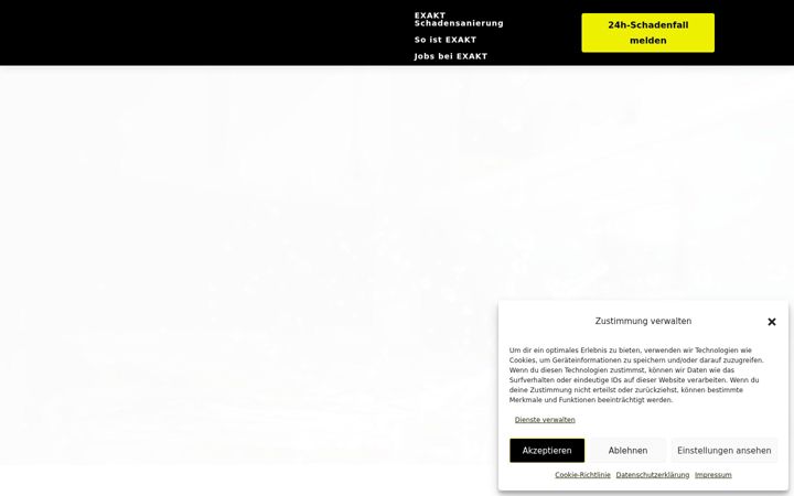 Screenshot stránky exakt-schadensanierung.de