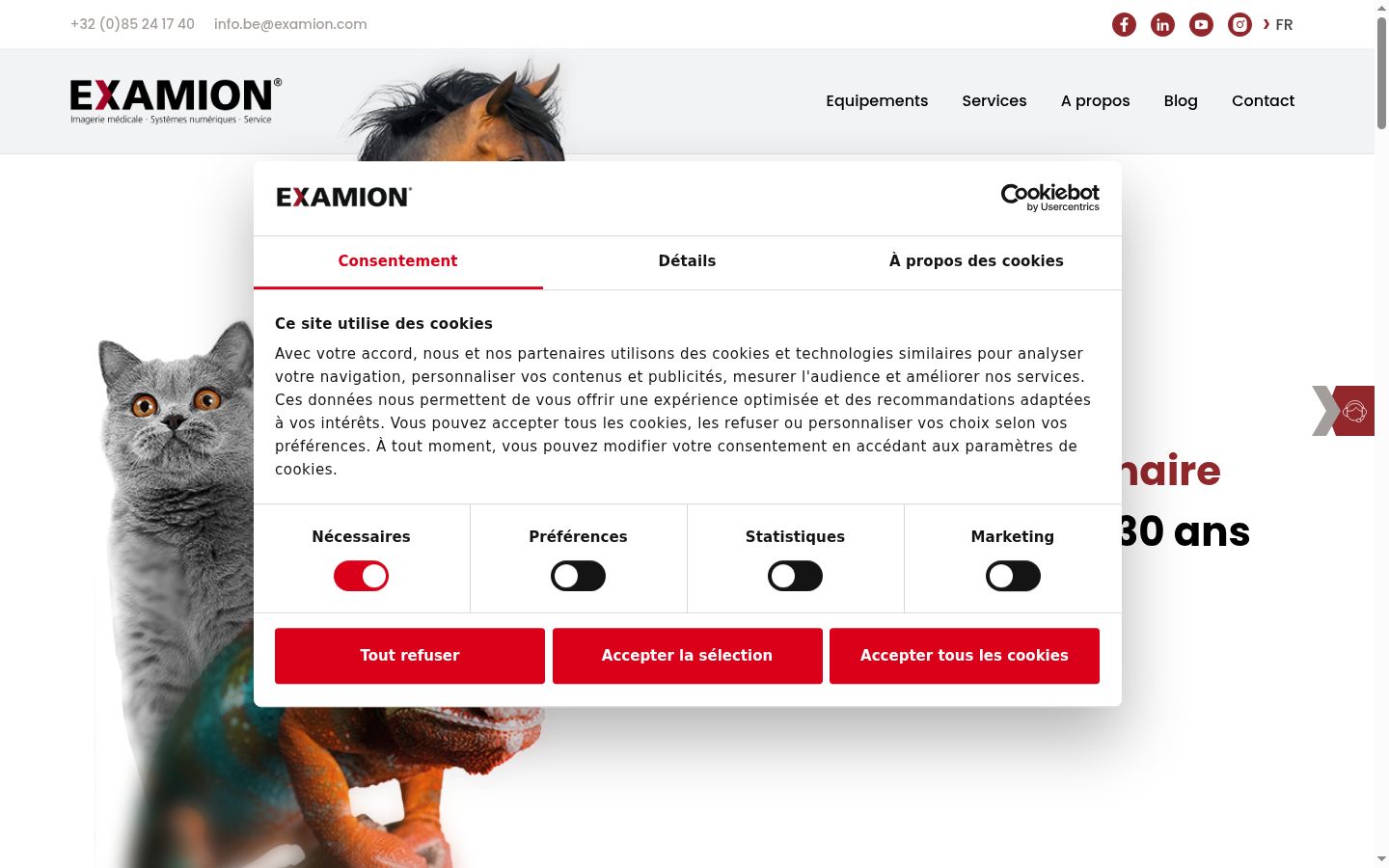 Screenshot του banner συγκατάθεσης που εμφανίστηκε πριν από οποιαδήποτε αλληλεπίδραση