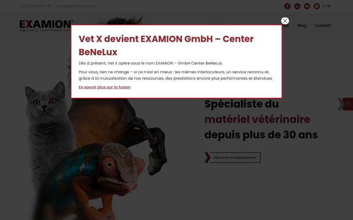 Screenshot of examion.eu