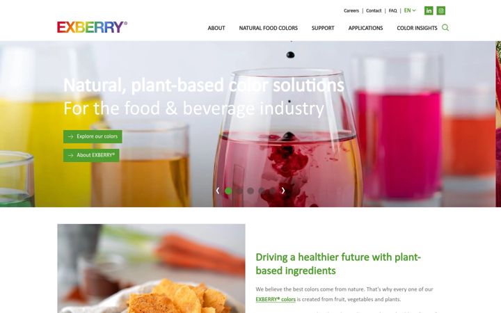 Screenshot of exberry.com